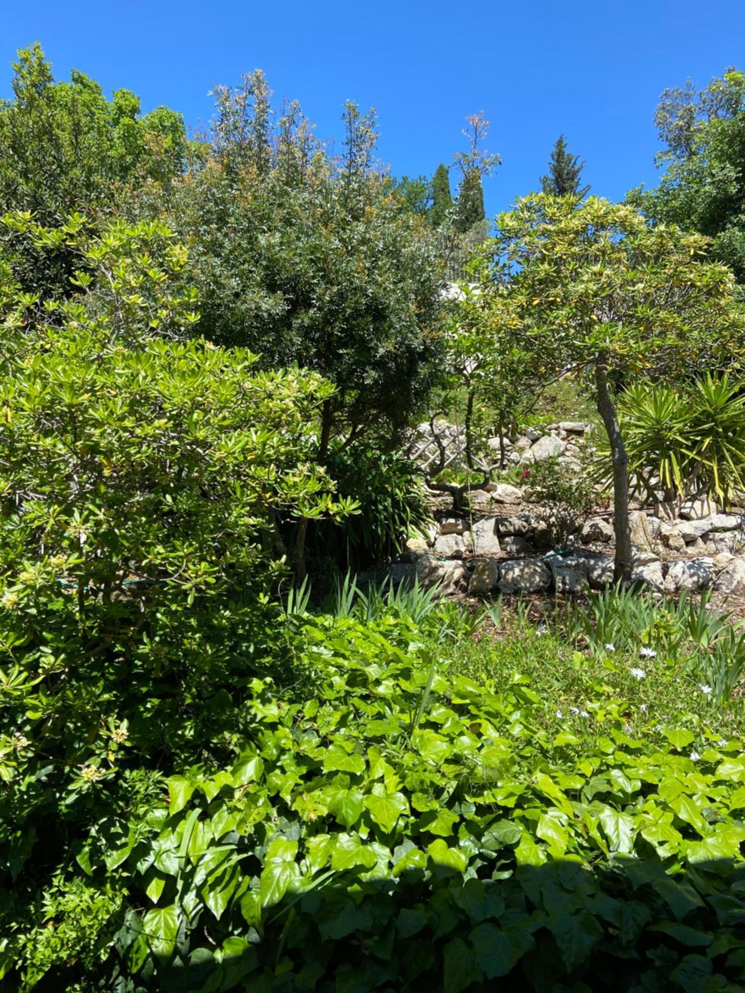 Hotel Les Belles Terrasses Tourrettes-sur-Loup Zewnętrze zdjęcie