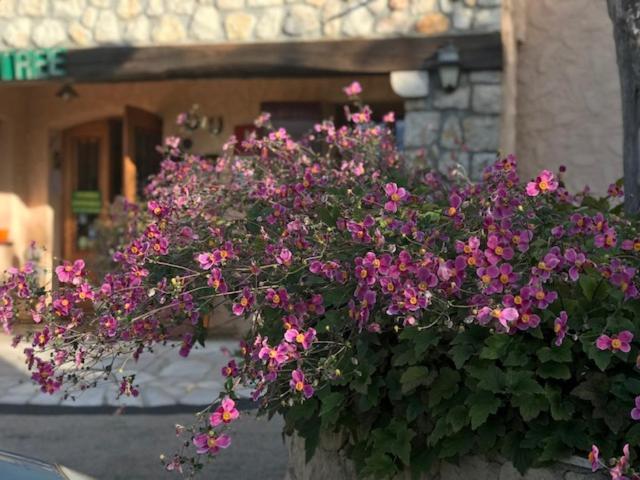 Hotel Les Belles Terrasses Tourrettes-sur-Loup Zewnętrze zdjęcie